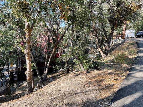 Arrowbear, CA 92382,24 Lot 24 Conway