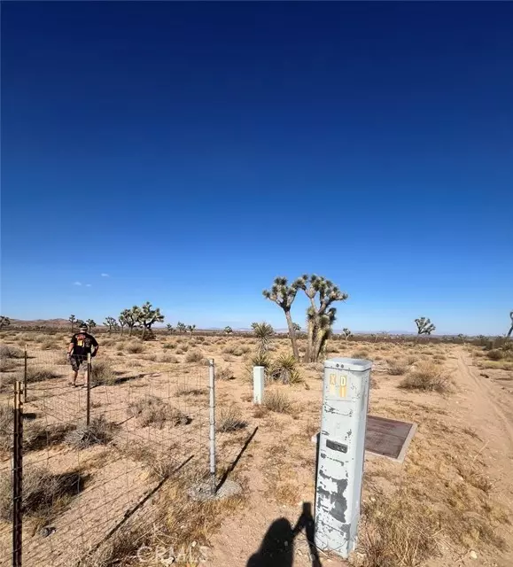 0 Campanula, Joshua Tree, CA 92252