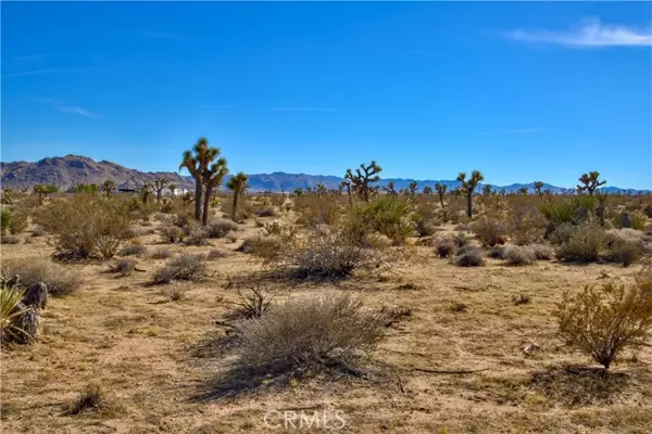 Yucca Valley, CA 92284,38 Lot 38 La Crescenta