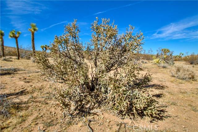 Yucca Valley, CA 92284,38 Lot 38 La Crescenta