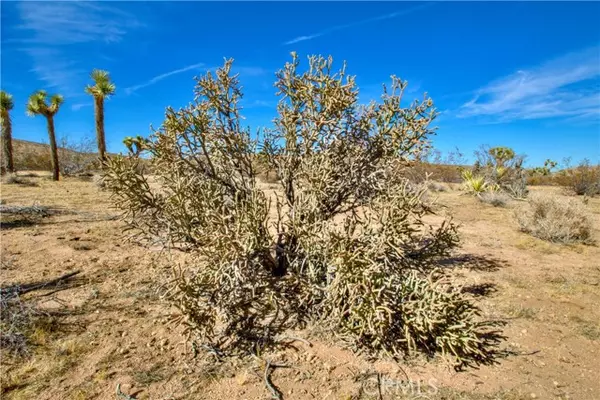 Yucca Valley, CA 92284,38 Lot 38 La Crescenta