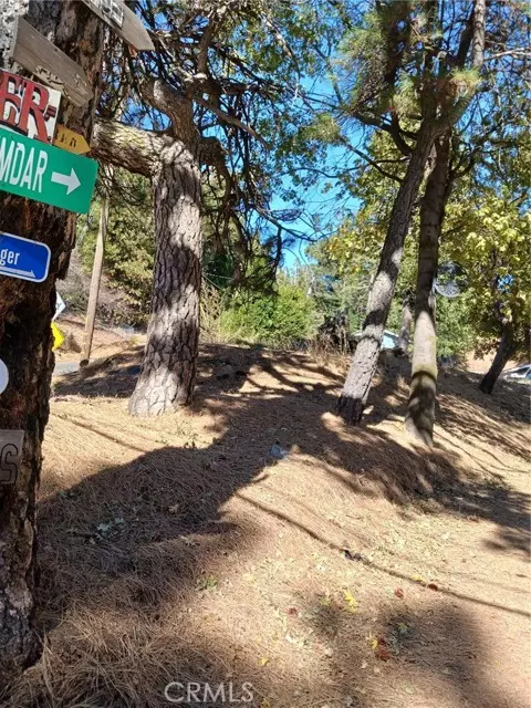 Cedarpines Park, CA 92322,1 Mozumdar