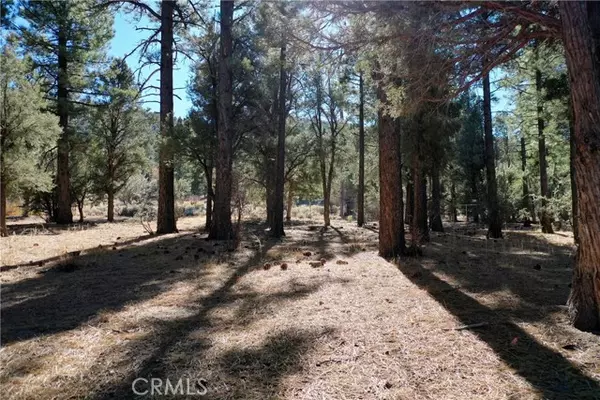 Big Bear City, CA 92314,24 Lot 24 Skyview