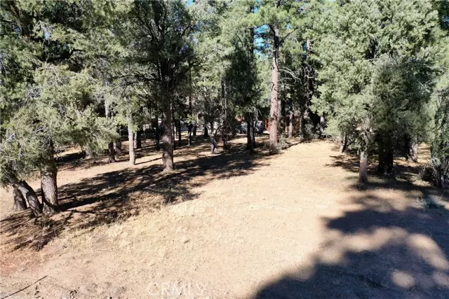 Big Bear City, CA 92314,24 Lot 24 Skyview