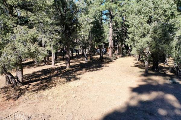 24 Lot 24 Skyview, Big Bear City, CA 92314