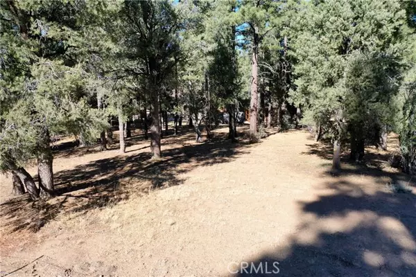 Big Bear City, CA 92314,24 Lot 24 Skyview