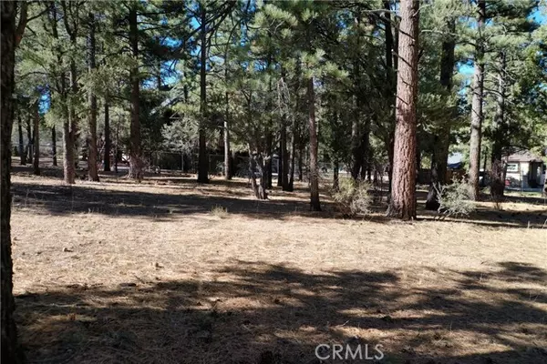 Big Bear City, CA 92314,24 Lot 24 Skyview