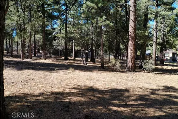 Big Bear City, CA 92314,24 Lot 24 Skyview