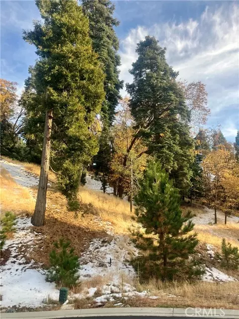 Lake Arrowhead, CA 92352,285 Hidden Forest