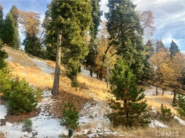 Lake Arrowhead, CA 92352,285 Hidden Forest