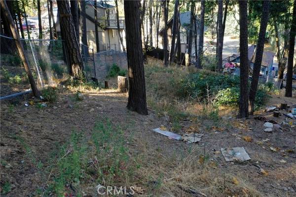 Crestline, CA 92325,828 Big Oak