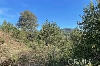 Cedar Glen, CA 92321,0 Pine