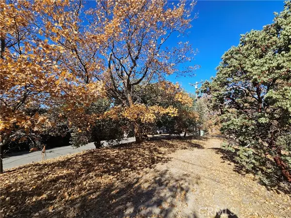 Lake Arrowhead, CA 92352,0 Edgecliff Drive