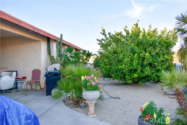 30255 Arbol Real, Thousand Palms, CA 92276