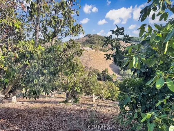 Temecula, CA 92590,0 Calle Jardin