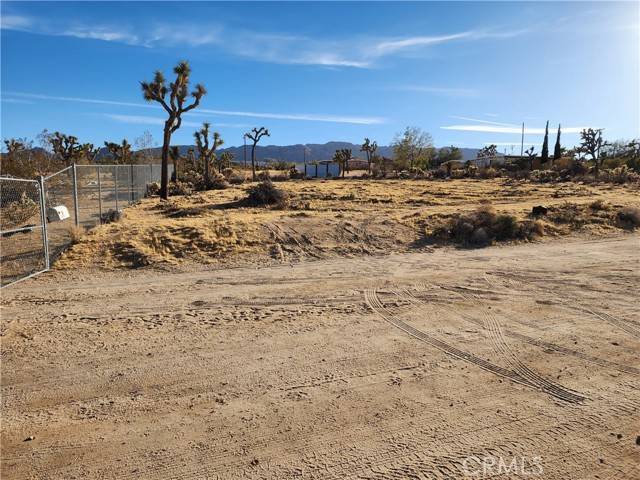 Joshua Tree, CA 92252,61329 Rocky Vista
