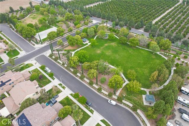 Redlands, CA 92374,1639 Tivoli Street
