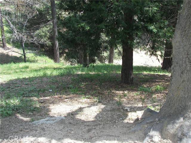 Cedarpines Park, CA 92322,21524 Crest Forest Drive
