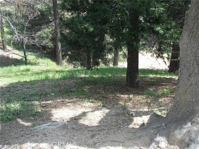 Cedarpines Park, CA 92322,21524 Crest Forest Drive