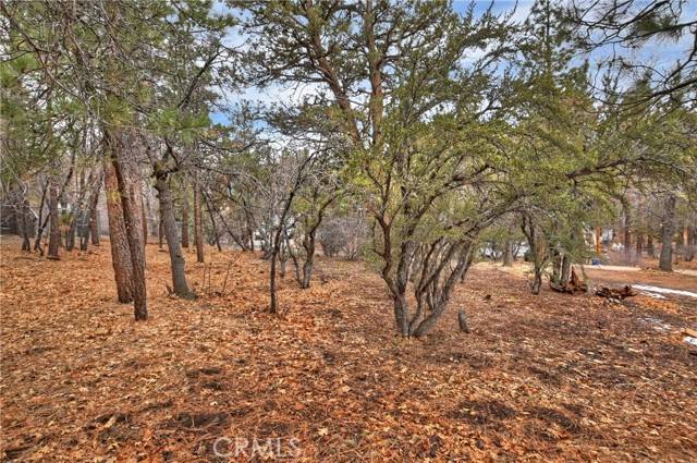 Sugarloaf, CA 92386,0 Wabash
