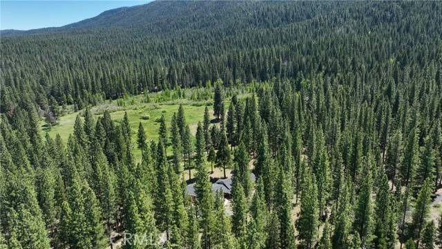 Clio, CA 96106,445 Boulder Drive