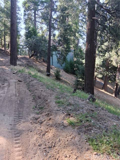 61 Evergreen, Cedarpines Park, CA 92322