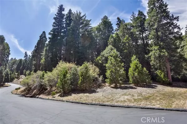 Lake Arrowhead, CA 92352,246 Cedar Ridge