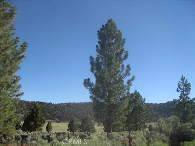 2805 Cedar, Big Bear City, CA 92314