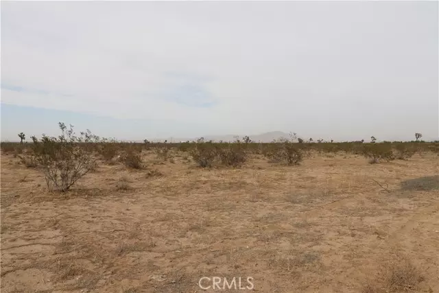 29 Palms, CA 92277,6399 Marilane