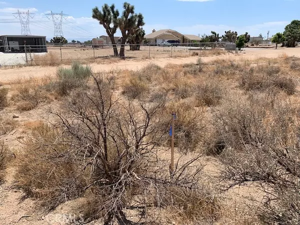 Phelan, CA 92371,0 Tumbleweed