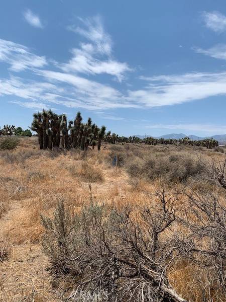 0 Tumbleweed, Phelan, CA 92371