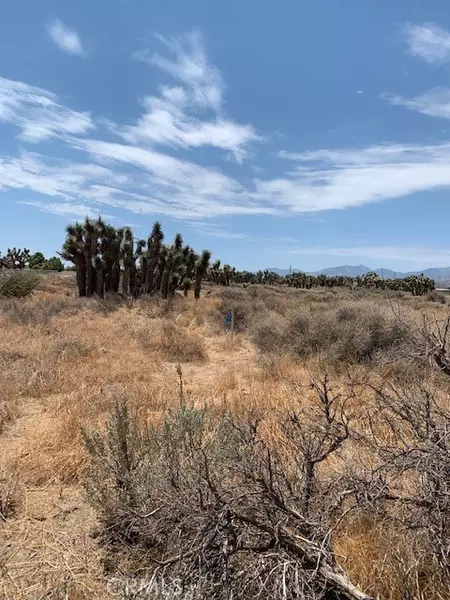 0 Tumbleweed, Phelan, CA 92371