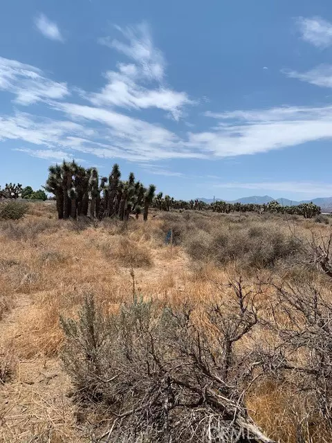 0 Tumbleweed, Phelan, CA 92371