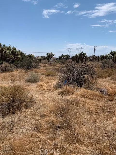 Phelan, CA 92371,0 Tumbleweed