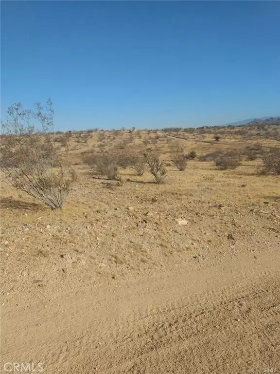 Apple Valley, CA 92307,0 Leaping Lizard