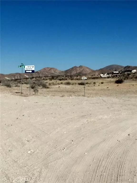 Apple Valley, CA 92307,0 Leaping Lizard