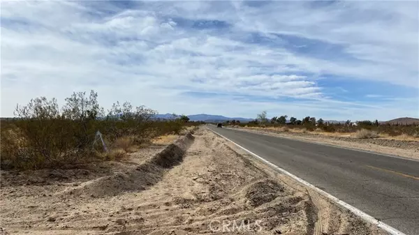 Joshua Tree, CA 92252,0 Juniper