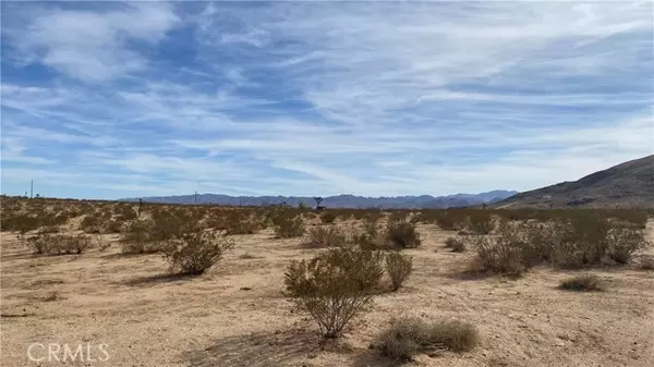 Joshua Tree, CA 92252,0 Juniper