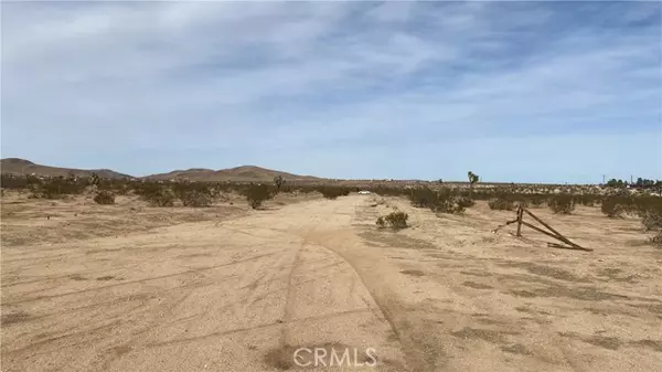 Joshua Tree, CA 92252,0 Juniper