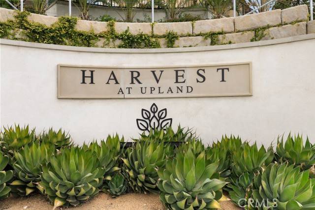 885 Harvest Avenue, Upland, CA 91786