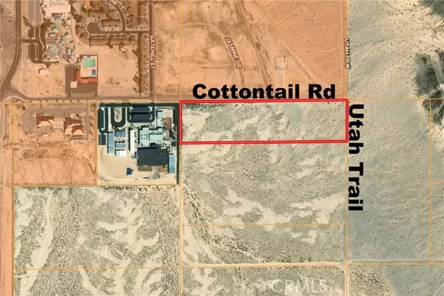 29 Palms, CA 92277,0 Cottontail