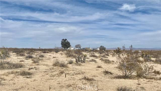 0 Desert Lily, Joshua Tree, CA 92252