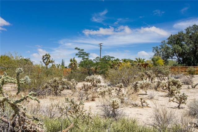 61891 El Reposo, Joshua Tree, CA 92252