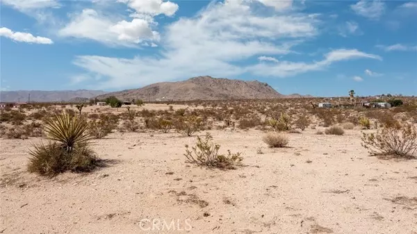 Joshua Tree, CA 92252,61631 Falcon