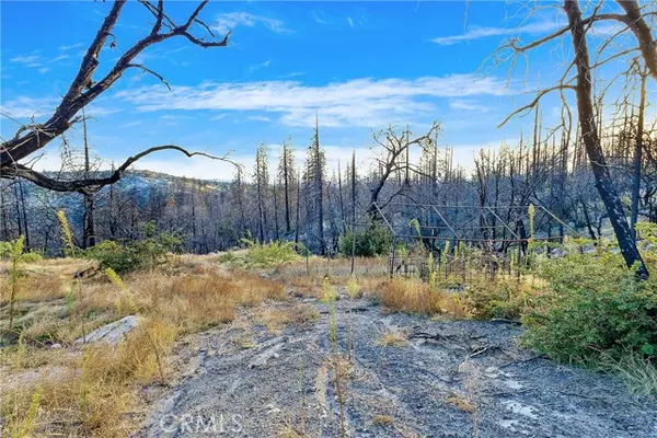 Berry Creek, CA 95916,0 Tipsoo Peak