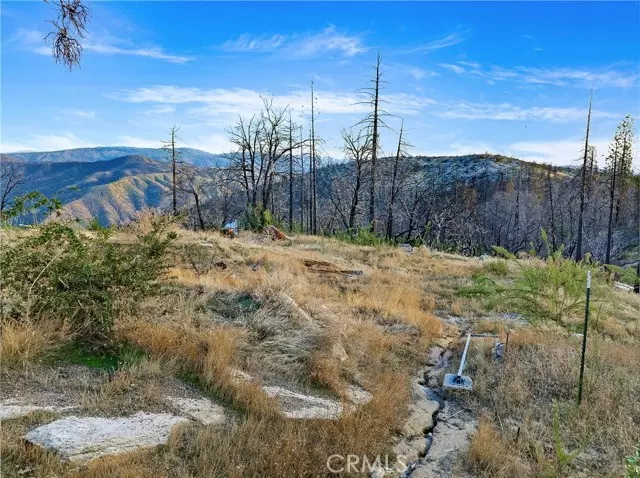 Berry Creek, CA 95916,0 Tipsoo Peak