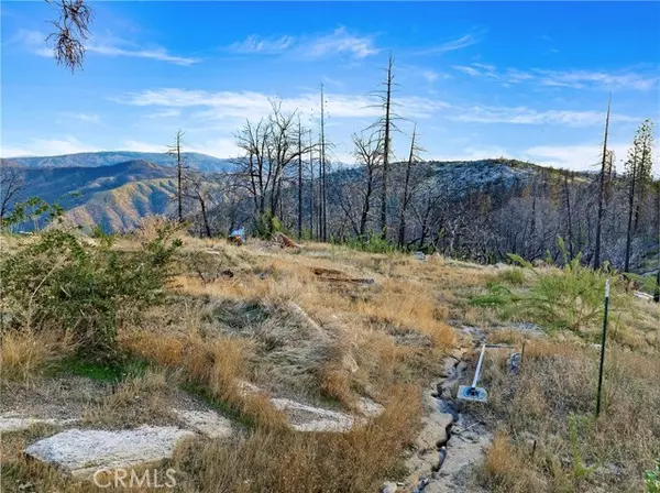 0 Tipsoo Peak, Berry Creek, CA 95916