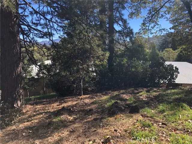 29151 Lyon, Cedar Glen, CA 92321