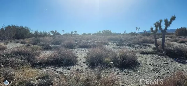 Pinon Hills, CA 92372,0 Smoke Tree