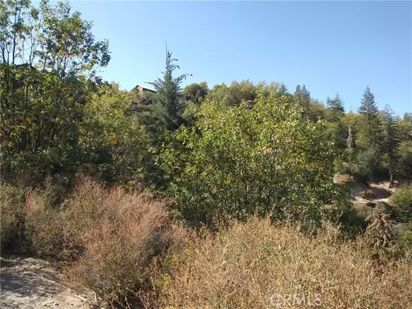 Cedar Glen, CA 92321,30044 Lignum Vitae